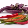 propieades de la berenjena