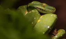 Tipos de ciencia