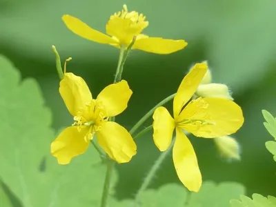 la materia