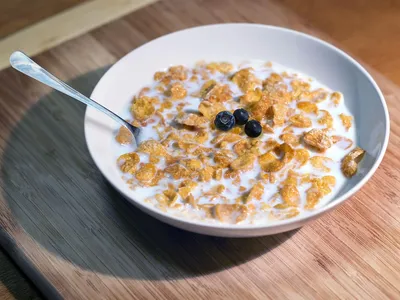 Propiedades nutritivas de la leche de cabra