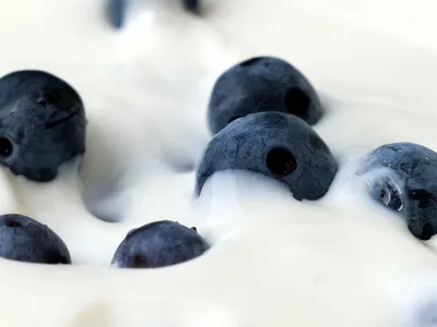 Propiedades de la leche