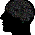 tipos-de-neurotransmisores