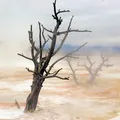 propiedades del carbonato de magnesio
