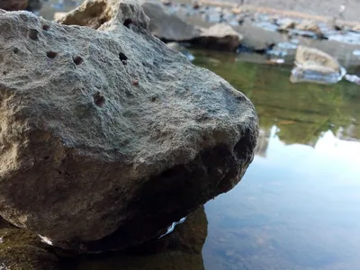 Ejemplos de huesos irregulares
