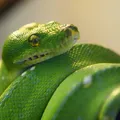 tipos de heridas
