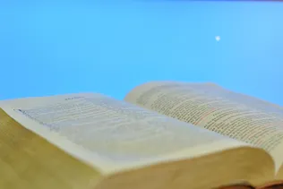 Tipos de lecturas