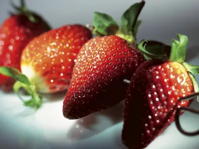 las fresas