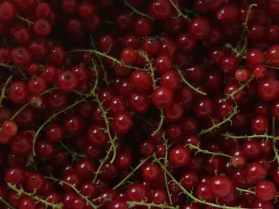 propiedades de las frutas