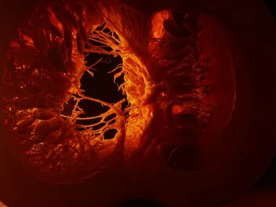 Propiedades de la calabaza