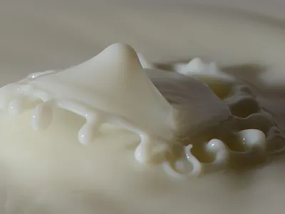 Propiedades nutritivas de la leche