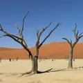 tipos-de-arcillas