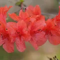 tipos de hormigon