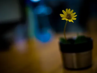 Características de un algoritmo