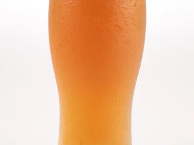 Cervezas de familia Lager
