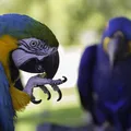 tipo de imagenes