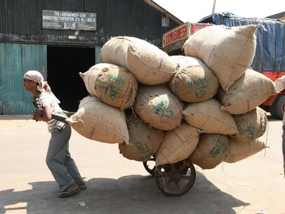 Bolsas de fécula