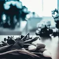 tipos de agendas