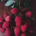 Propiedades del limon.