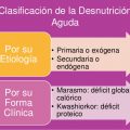 tipos-de-desnutricion