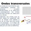 ondas-transversales