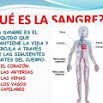 tipos de sangre